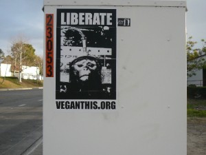 liberate