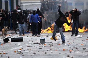 riot_dog